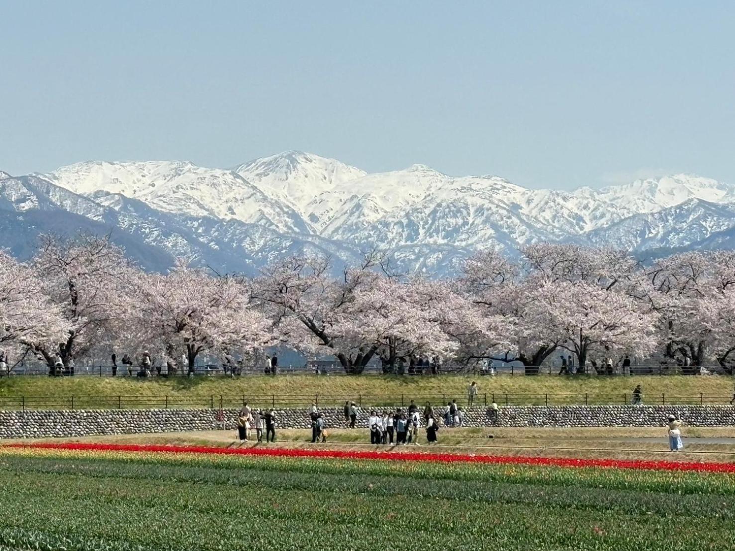 ヨーコのお宿 わくわく Toyama Bagian luar foto
