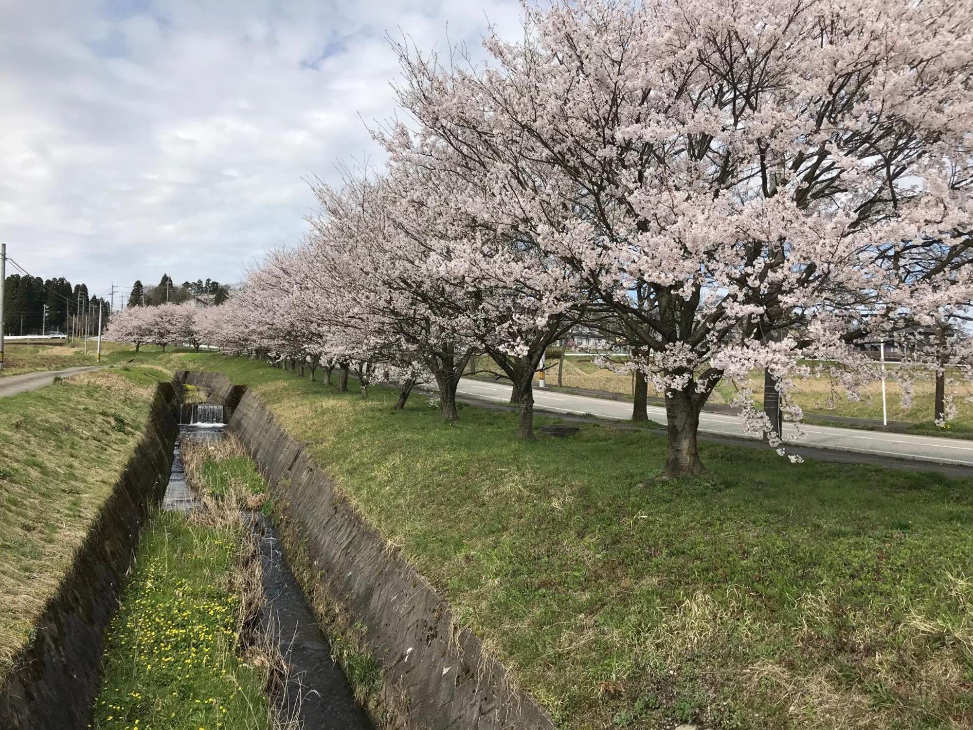 ヨーコのお宿 わくわく Toyama Bagian luar foto